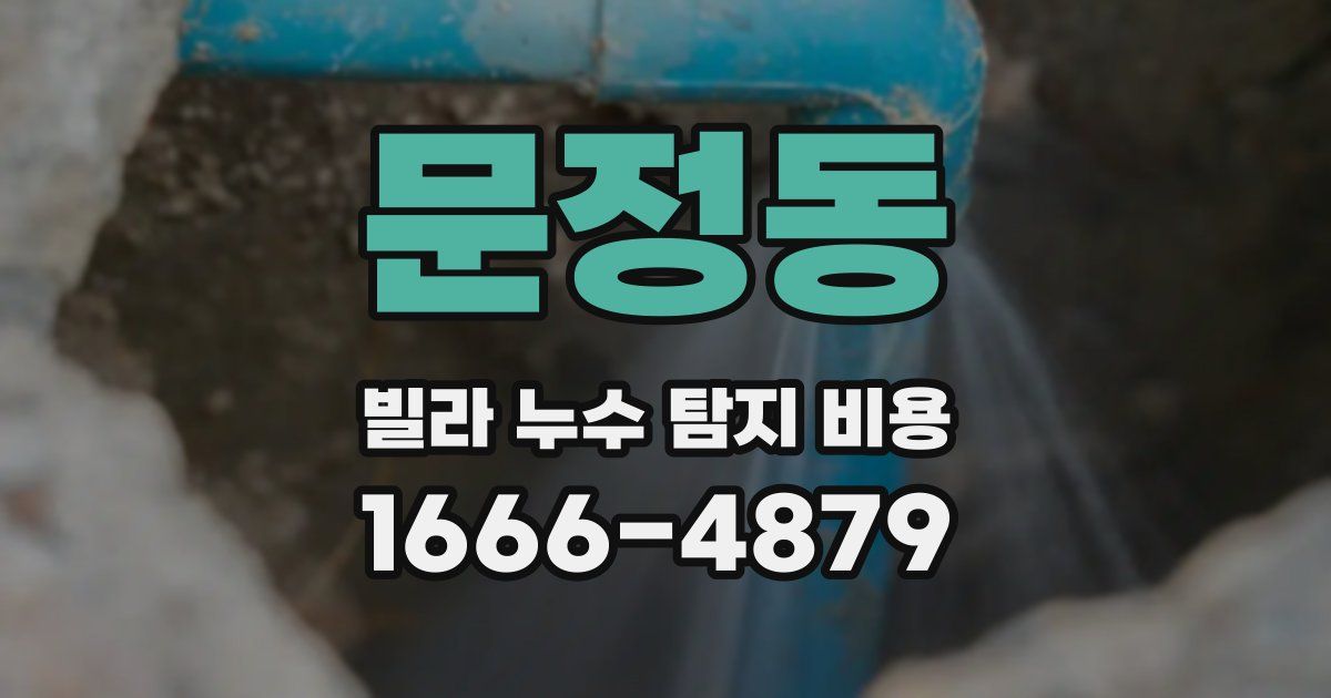 문정동 빌라 누수 탐지 비용