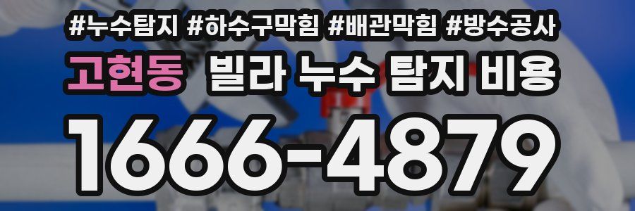 고현동 빌라 누수 탐지 비용