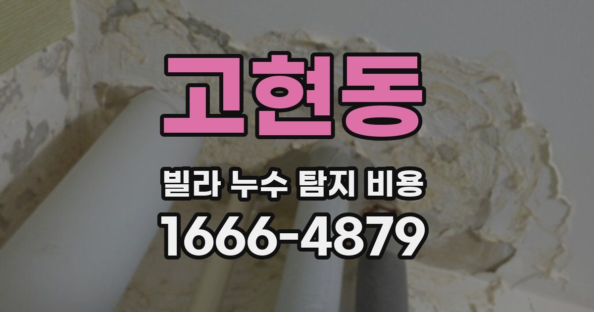 고현동 빌라 누수 탐지 비용