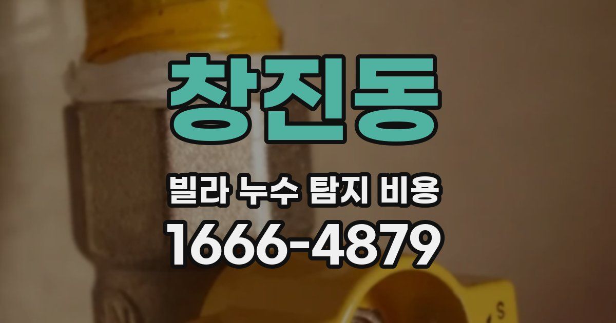 창진동 빌라 누수 탐지 비용