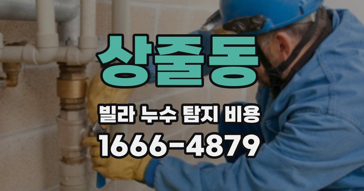 상줄동 빌라 누수 탐지 비용