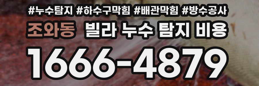 조와동 빌라 누수 탐지 비용