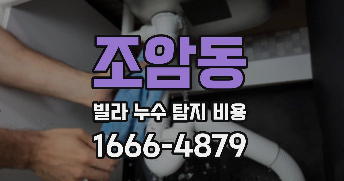 조암동 빌라 누수 탐지 비용