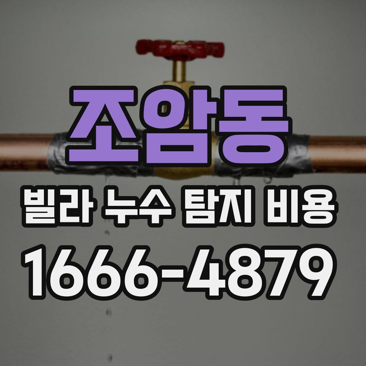 조암동 빌라 누수 탐지 비용