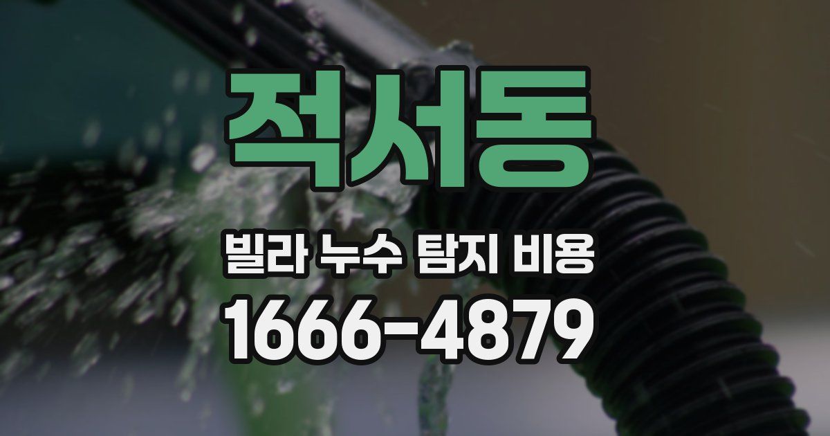 적서동 빌라 누수 탐지 비용