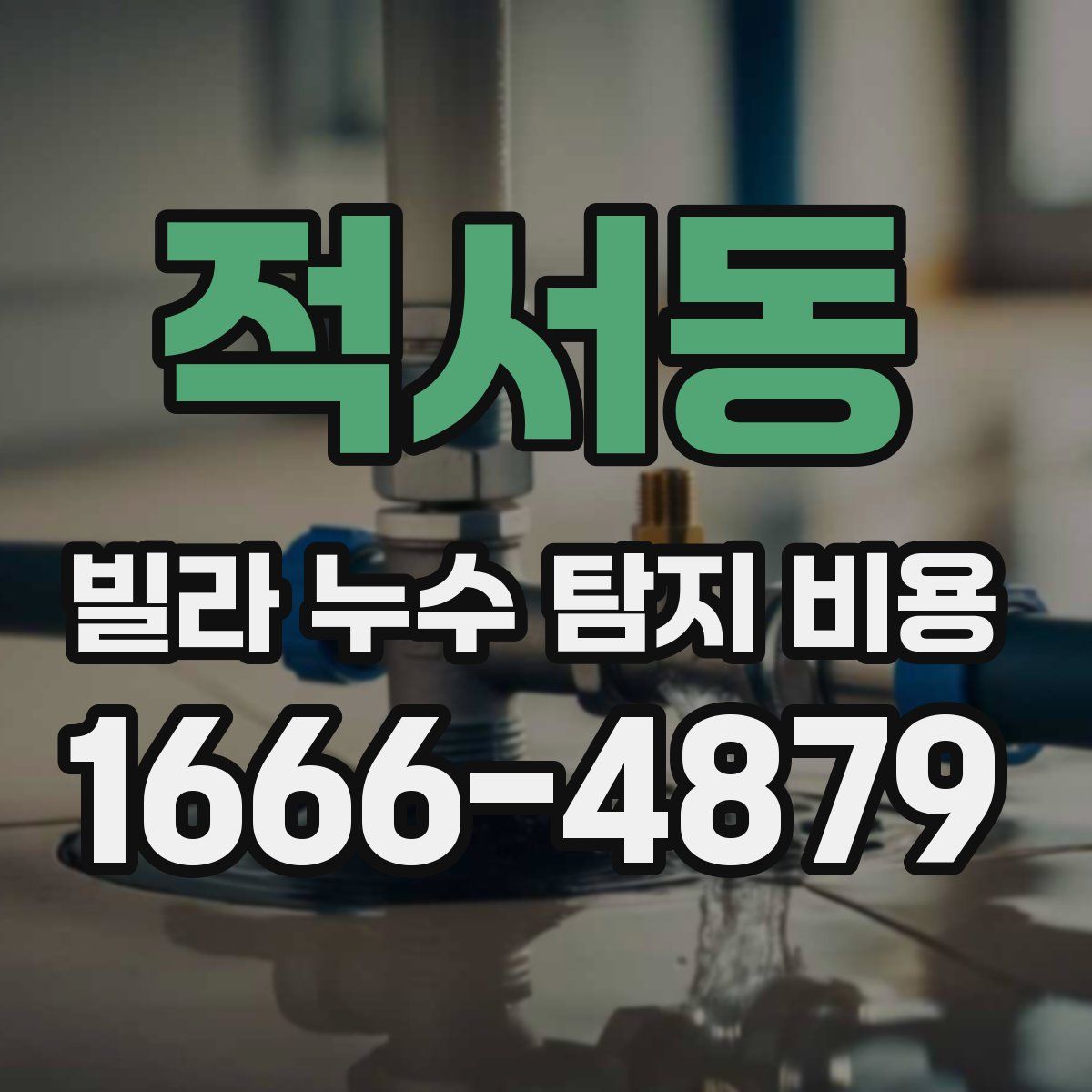 적서동 빌라 누수 탐지 비용