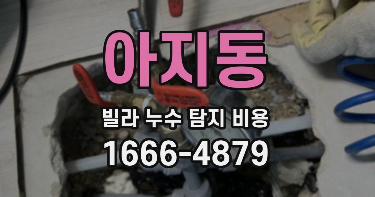 아지동 빌라 누수 탐지 비용