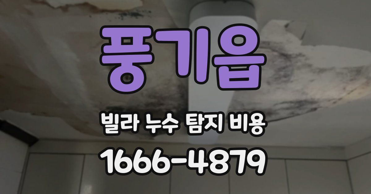 풍기읍 빌라 누수 탐지 비용