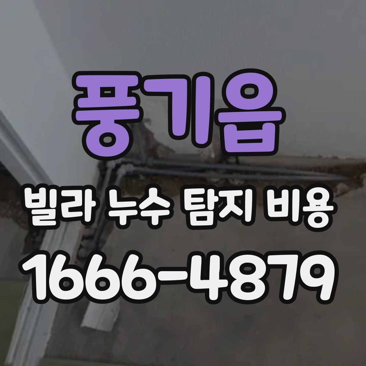 풍기읍 빌라 누수 탐지 비용