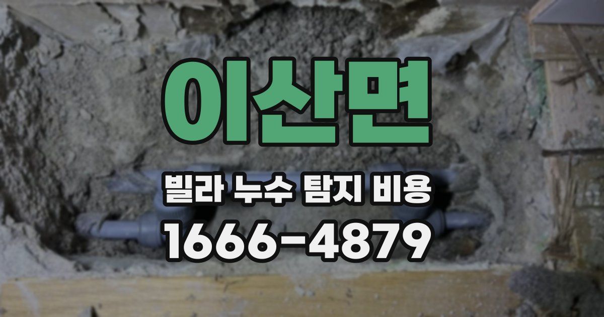 이산면 빌라 누수 탐지 비용