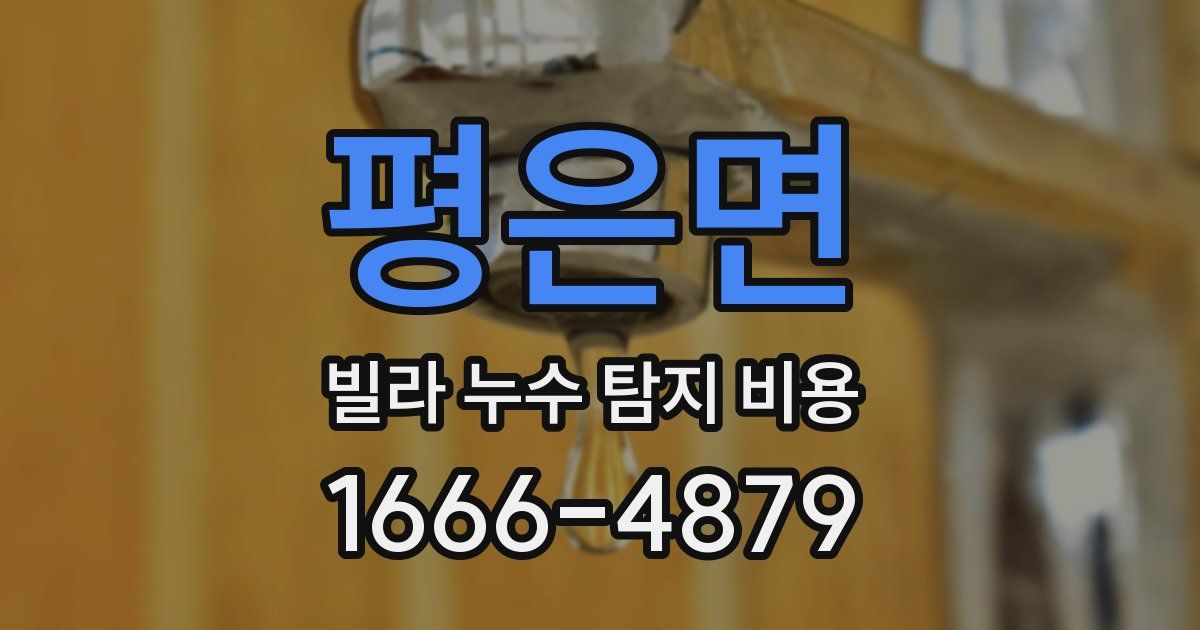 평은면 빌라 누수 탐지 비용