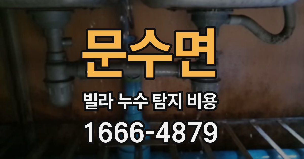 문수면 빌라 누수 탐지 비용