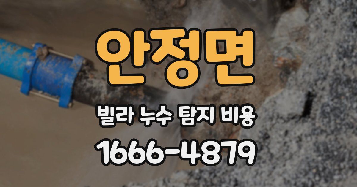 안정면 빌라 누수 탐지 비용