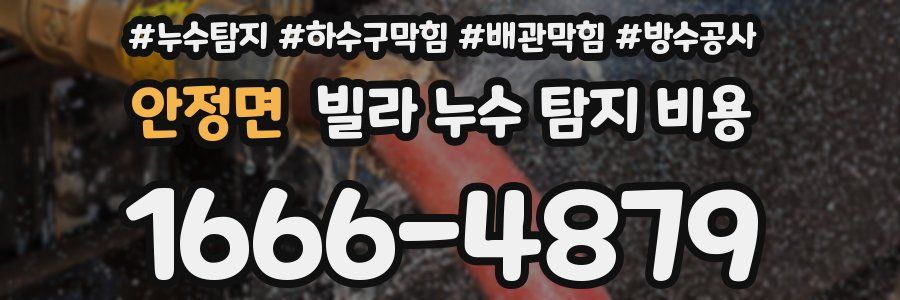 안정면 빌라 누수 탐지 비용
