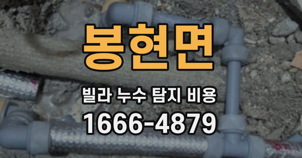 봉현면 빌라 누수 탐지 비용
