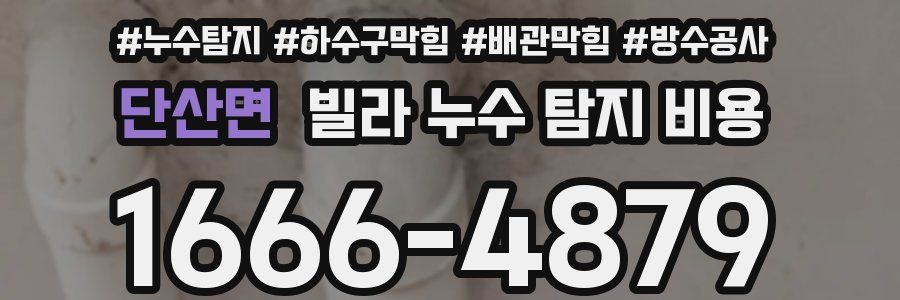 단산면 빌라 누수 탐지 비용