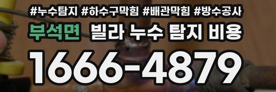 부석면 빌라 누수 탐지 비용