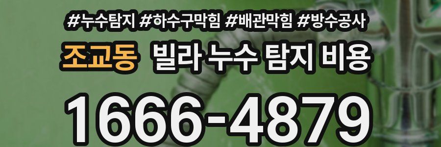 조교동 빌라 누수 탐지 비용