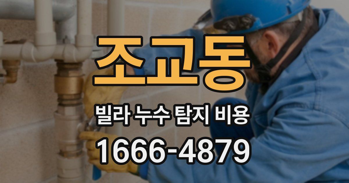 조교동 빌라 누수 탐지 비용