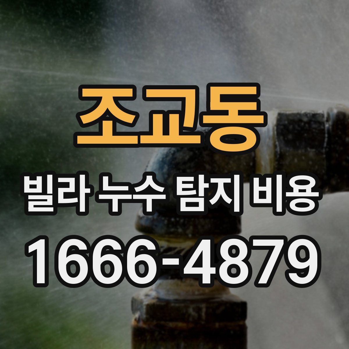 조교동 빌라 누수 탐지 비용