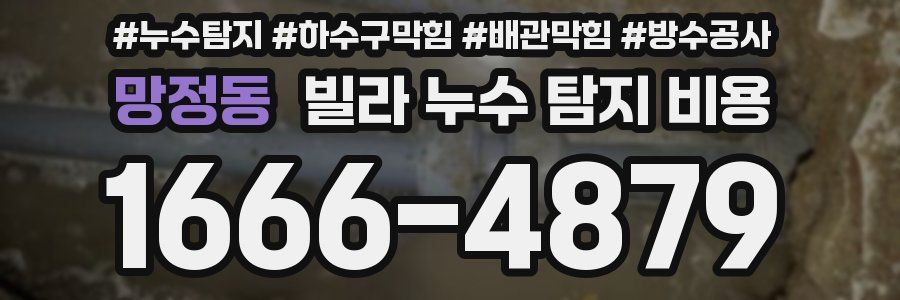 망정동 빌라 누수 탐지 비용