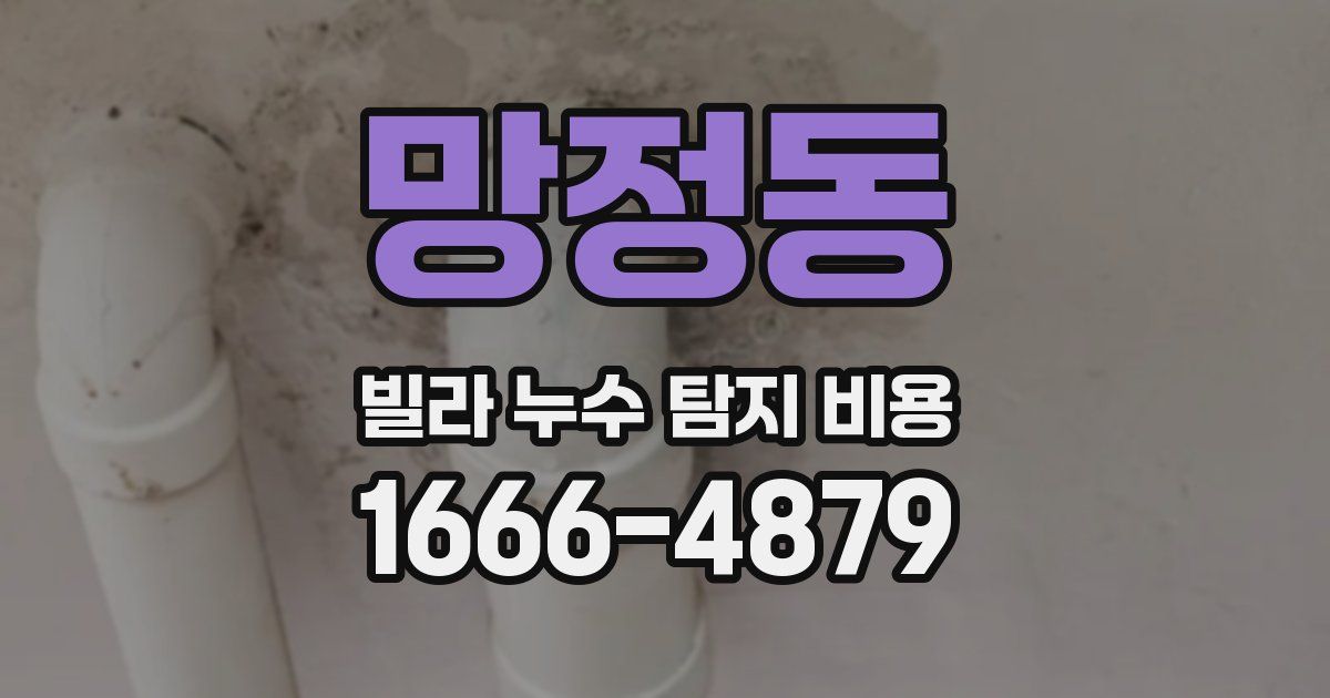 망정동 빌라 누수 탐지 비용