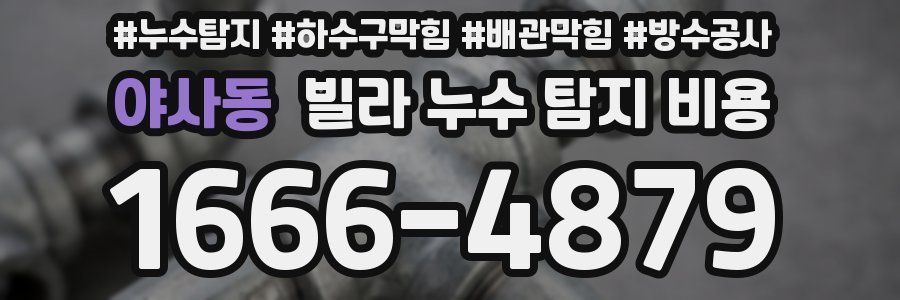 야사동 빌라 누수 탐지 비용