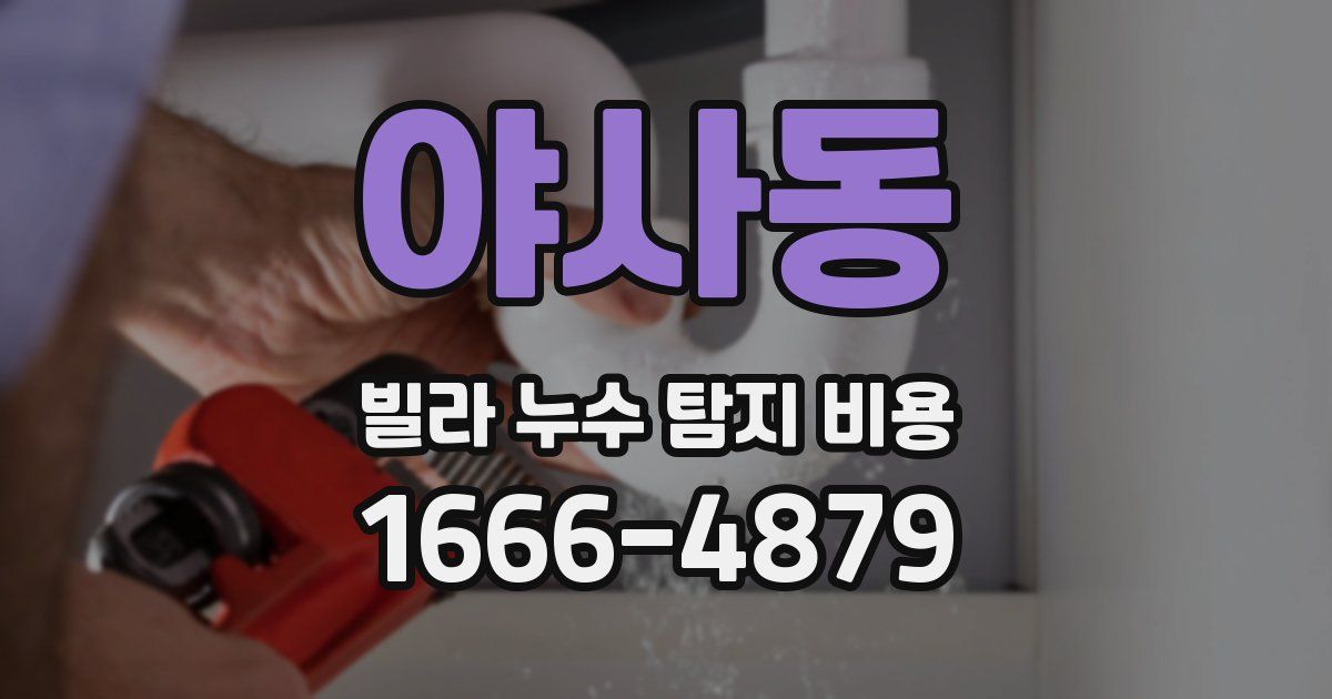 야사동 빌라 누수 탐지 비용