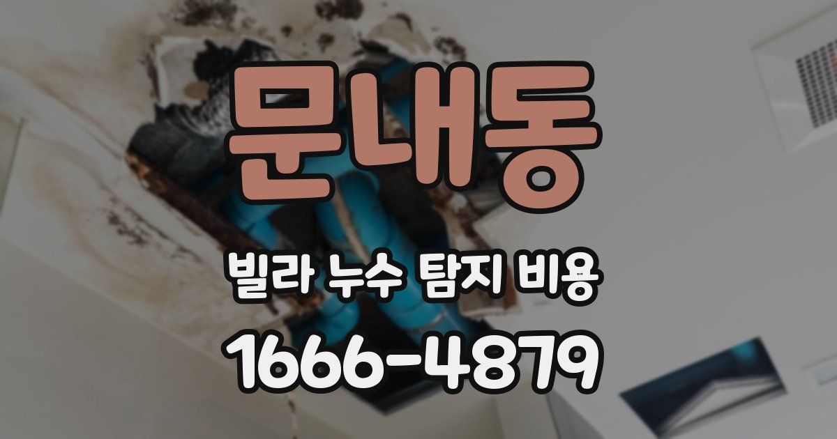 문내동 빌라 누수 탐지 비용
