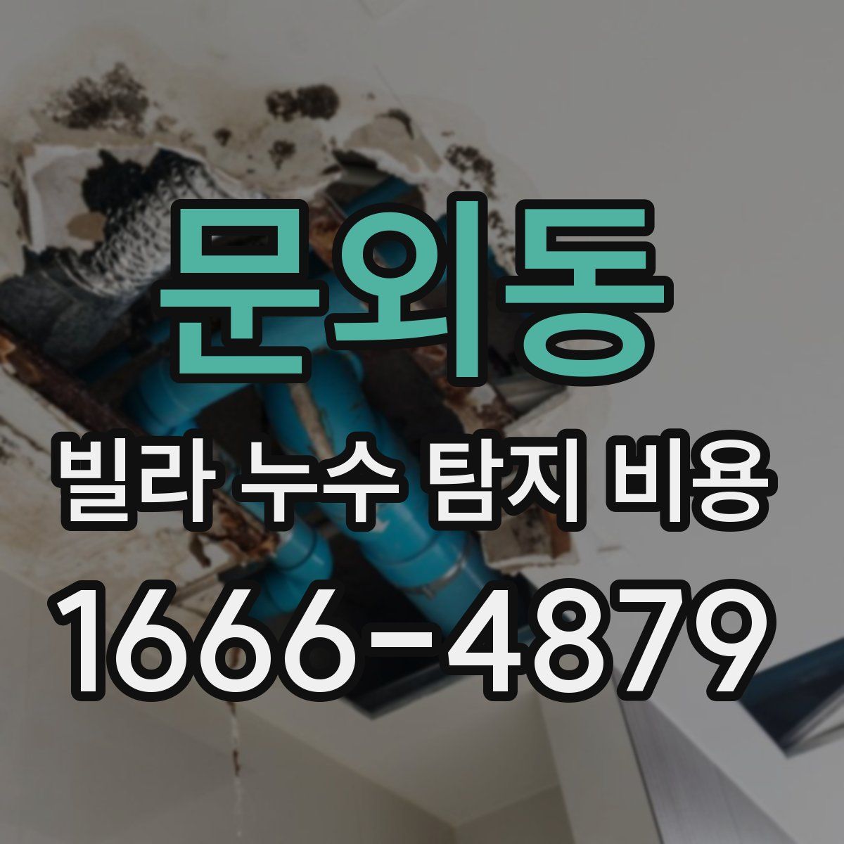 문외동 빌라 누수 탐지 비용