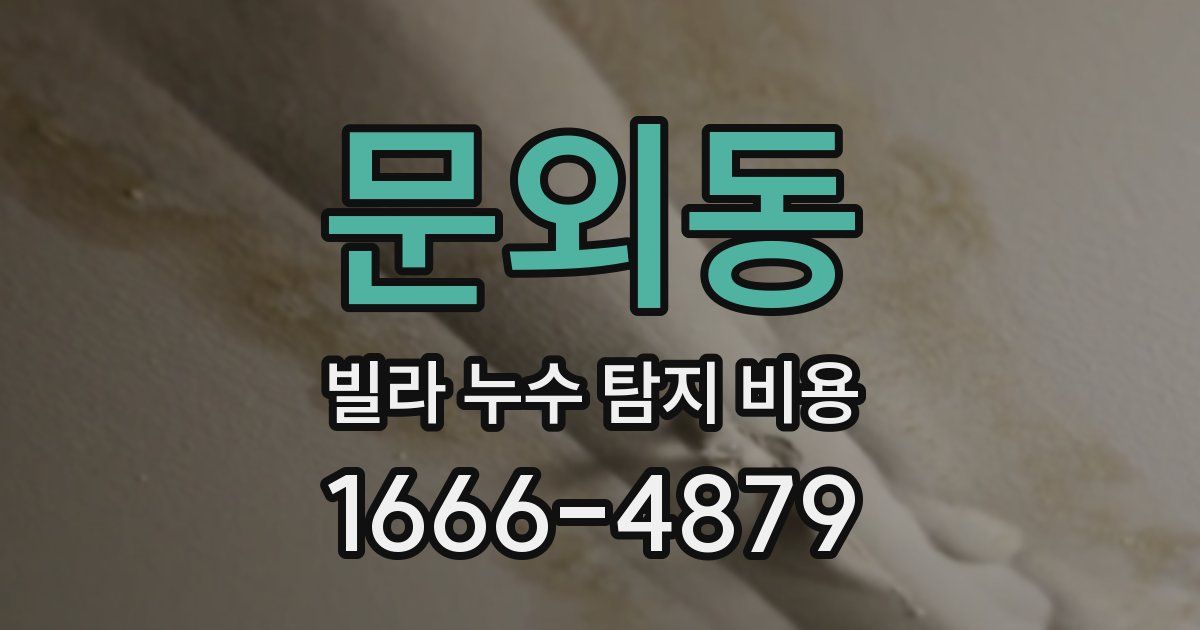 문외동 빌라 누수 탐지 비용