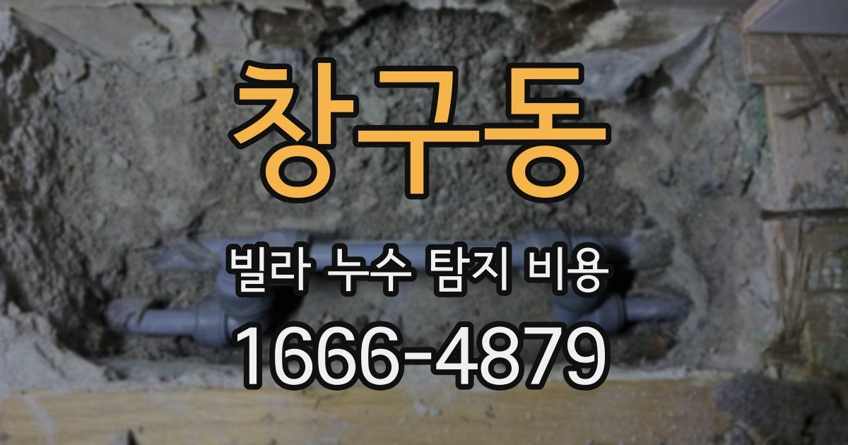 창구동 빌라 누수 탐지 비용