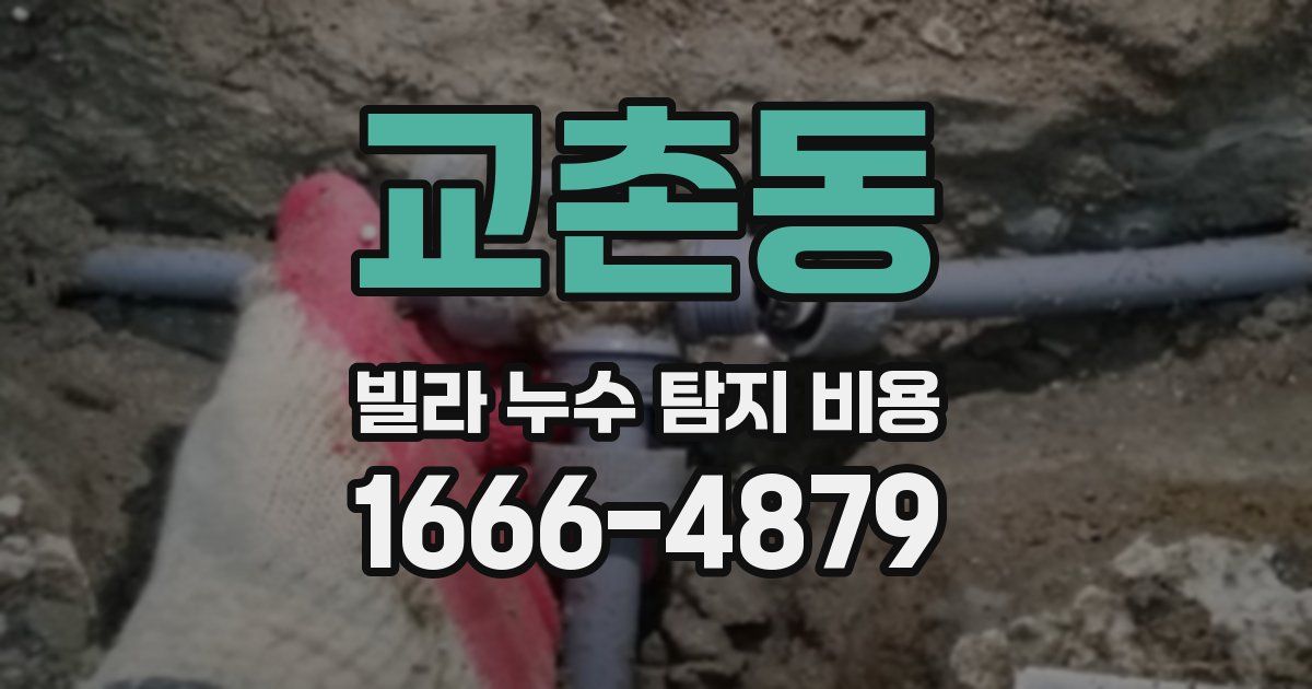 교촌동 빌라 누수 탐지 비용