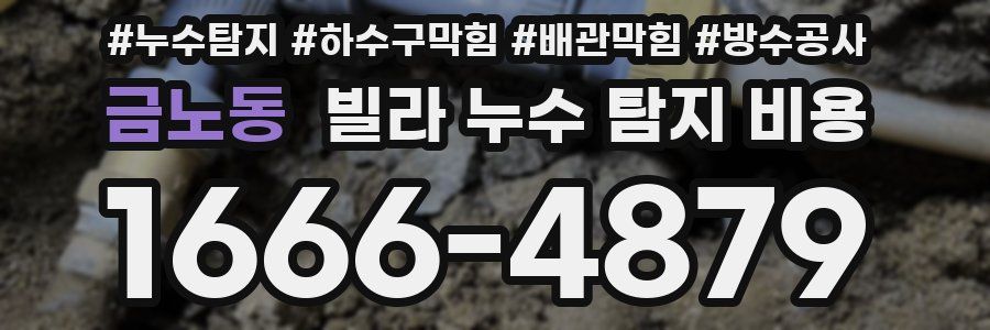금노동 빌라 누수 탐지 비용