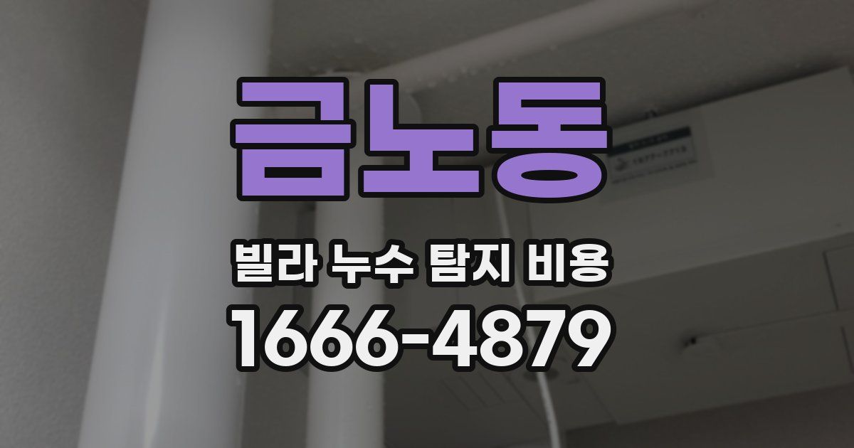 금노동 빌라 누수 탐지 비용