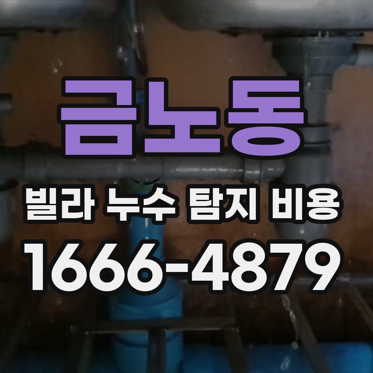 금노동 빌라 누수 탐지 비용