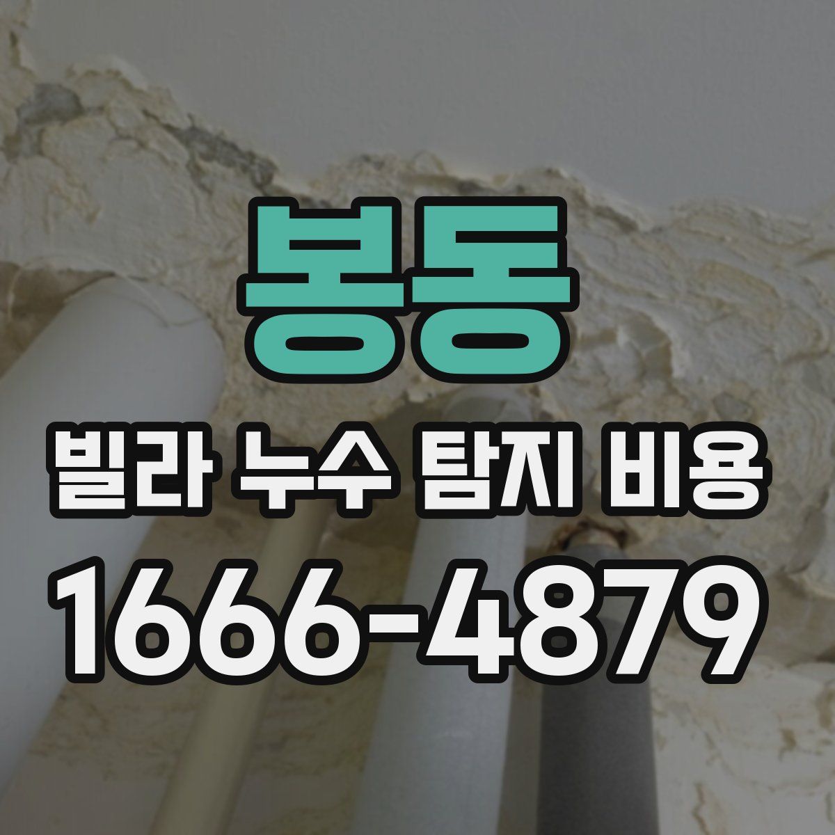 봉동 빌라 누수 탐지 비용