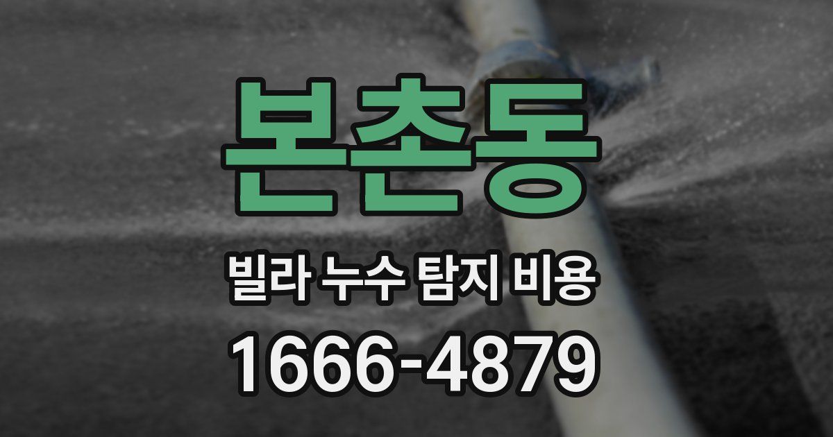 본촌동 빌라 누수 탐지 비용