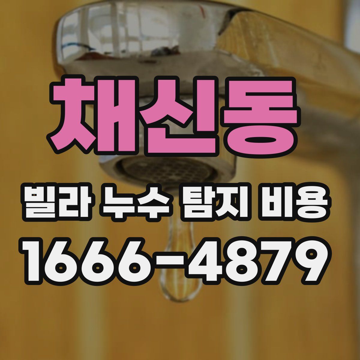 채신동 빌라 누수 탐지 비용