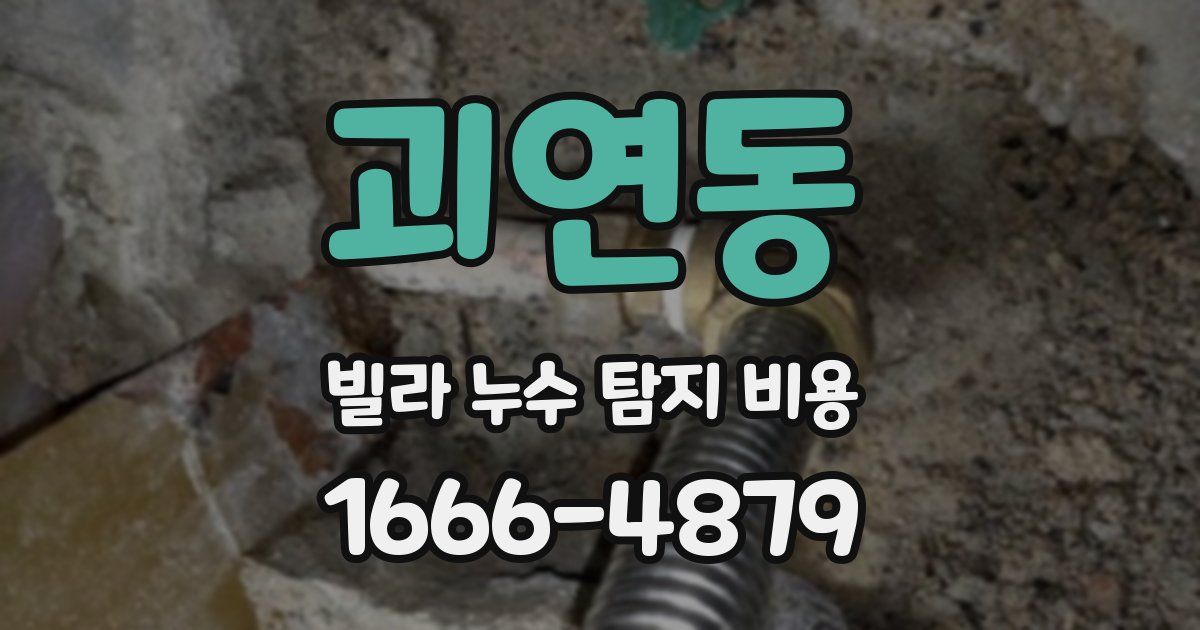 괴연동 빌라 누수 탐지 비용
