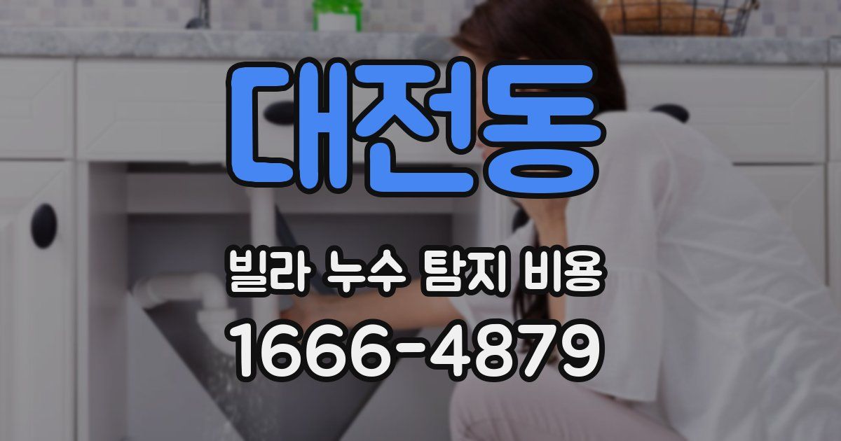 대전동 빌라 누수 탐지 비용
