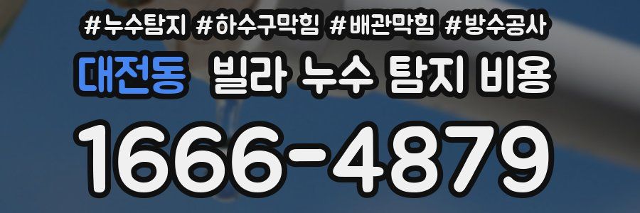 대전동 빌라 누수 탐지 비용