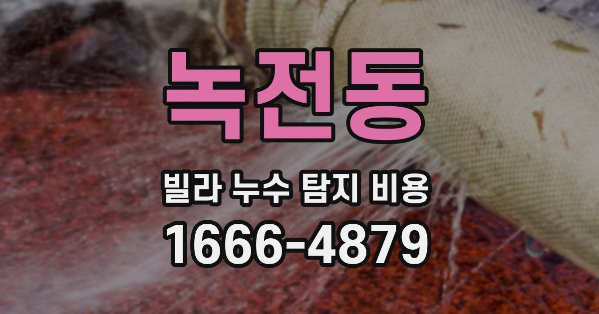 녹전동 빌라 누수 탐지 비용