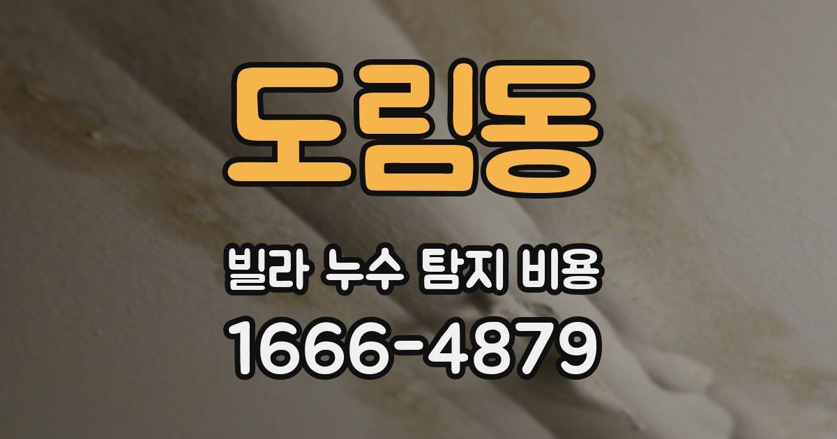 도림동 빌라 누수 탐지 비용