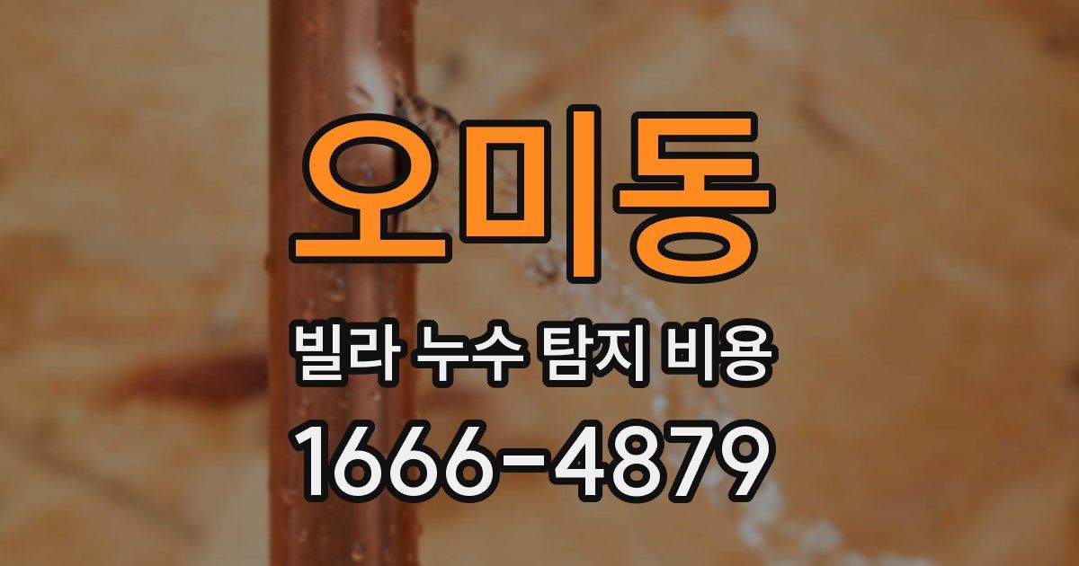 오미동 빌라 누수 탐지 비용