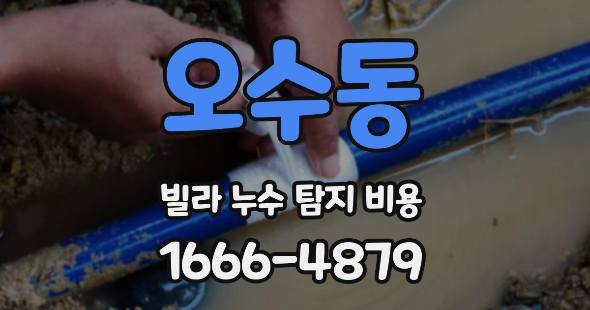 오수동 빌라 누수 탐지 비용