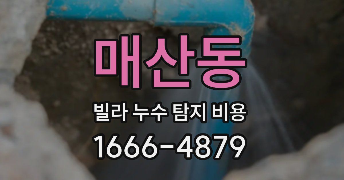 매산동 빌라 누수 탐지 비용