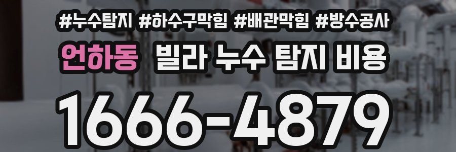 언하동 빌라 누수 탐지 비용