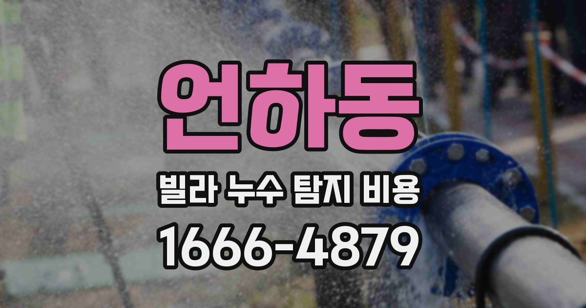 언하동 빌라 누수 탐지 비용