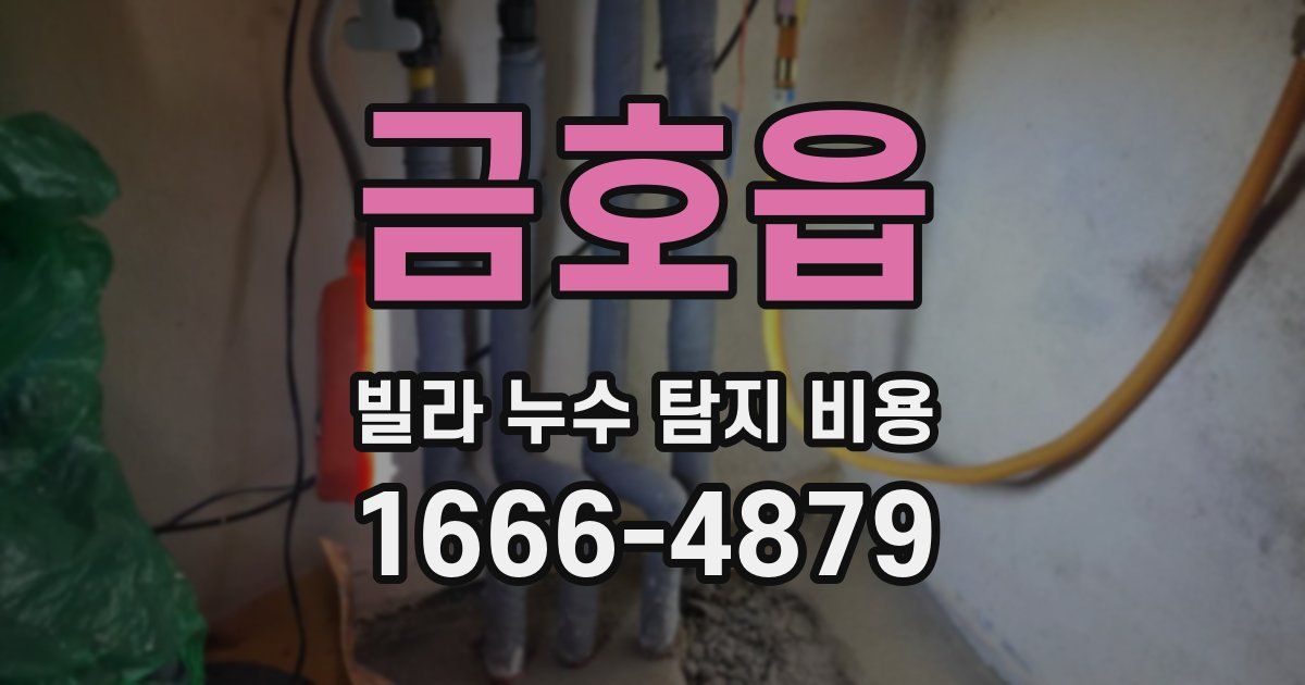 금호읍 빌라 누수 탐지 비용